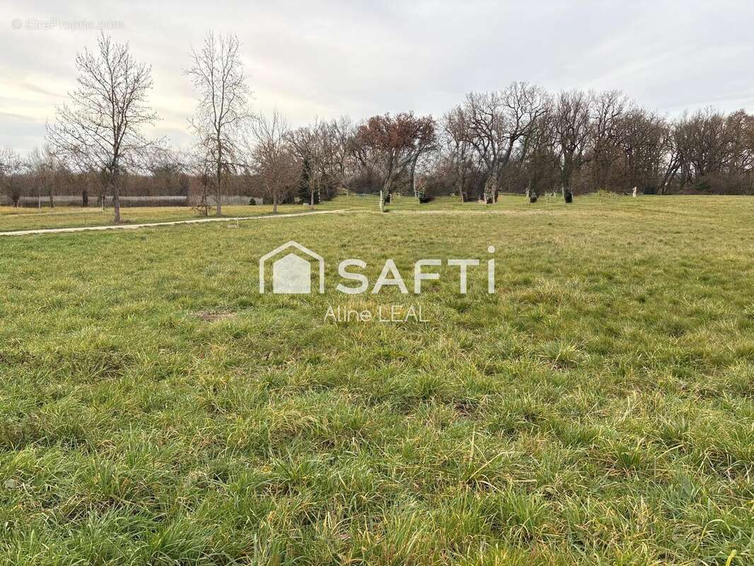 Photo 3 - Terrain à CASTELMAYRAN