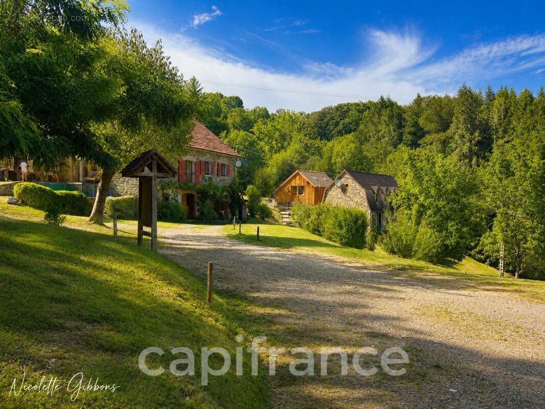 Domaine avec Trois Gîtes, Deux Sources Naturelles, Deux Piscines et 6 Hectares aux Portes de Beaulieu-sur-Dordogne - photo 3
