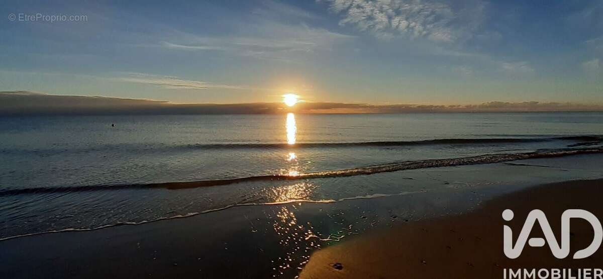 Photo 7 - Appartement à SAN-NICOLAO