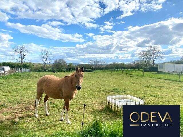 Maison à CONDE-SUR-VIRE