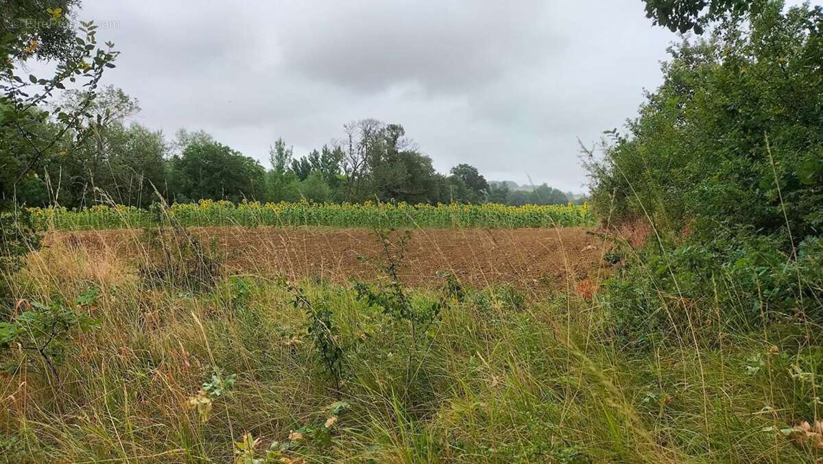 Terres agricoles 40 Ha (32120 ) Puycasquier - photo 4