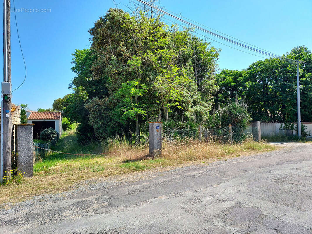 Terrain à SAINT-PIERRE-D&#039;OLERON