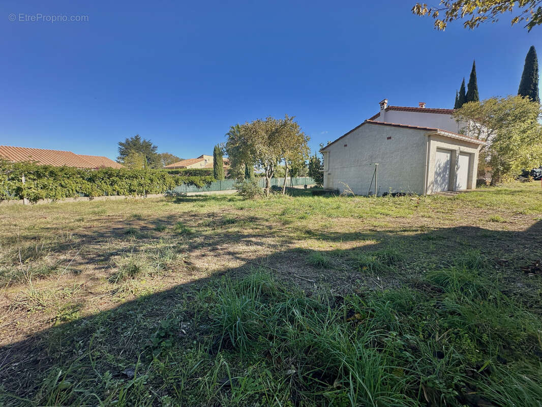 Terrain à LAROQUE-DES-ALBERES