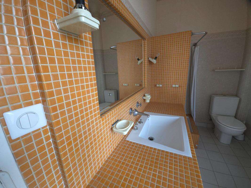 Capendu : maison bourgeoise et studio independant - photo 8