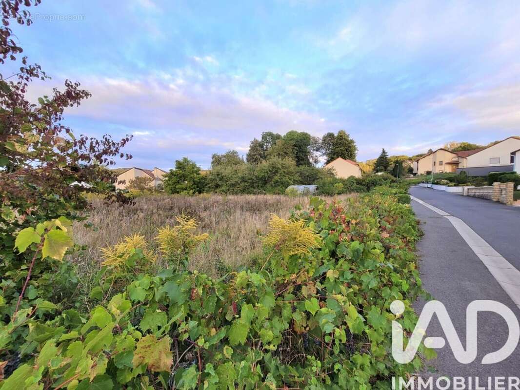 Photo 3 - Terrain à CORNY-SUR-MOSELLE