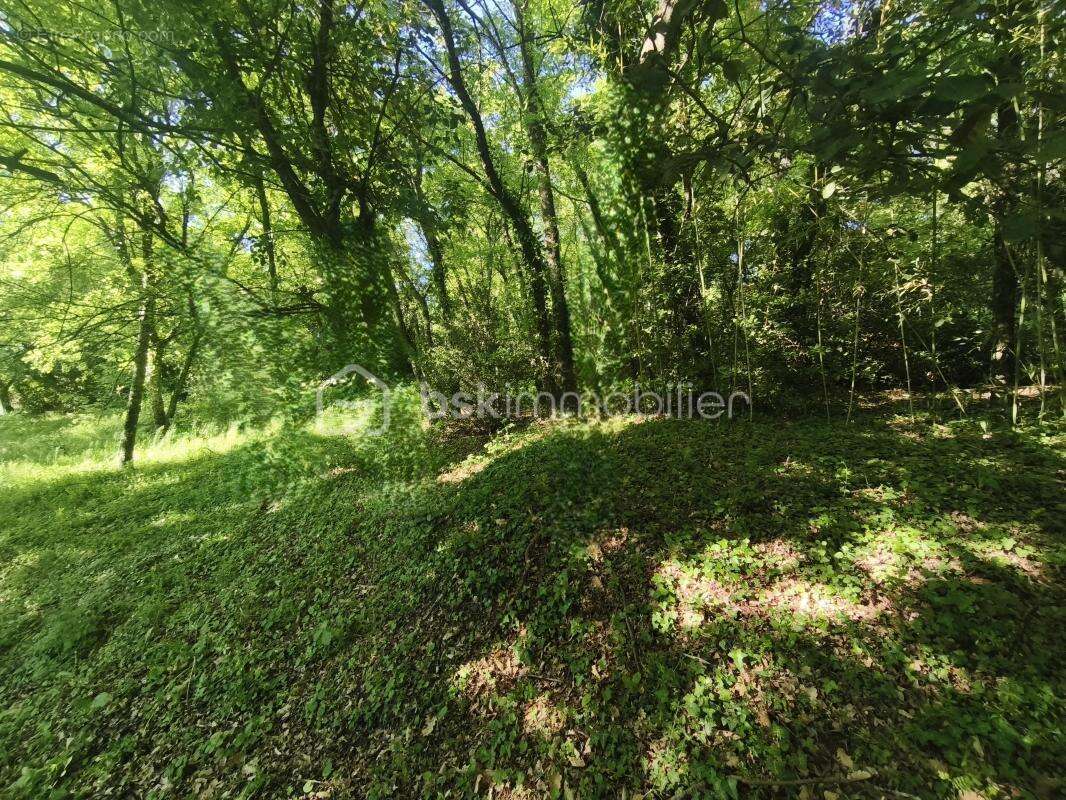 Terrain à REILLANNE