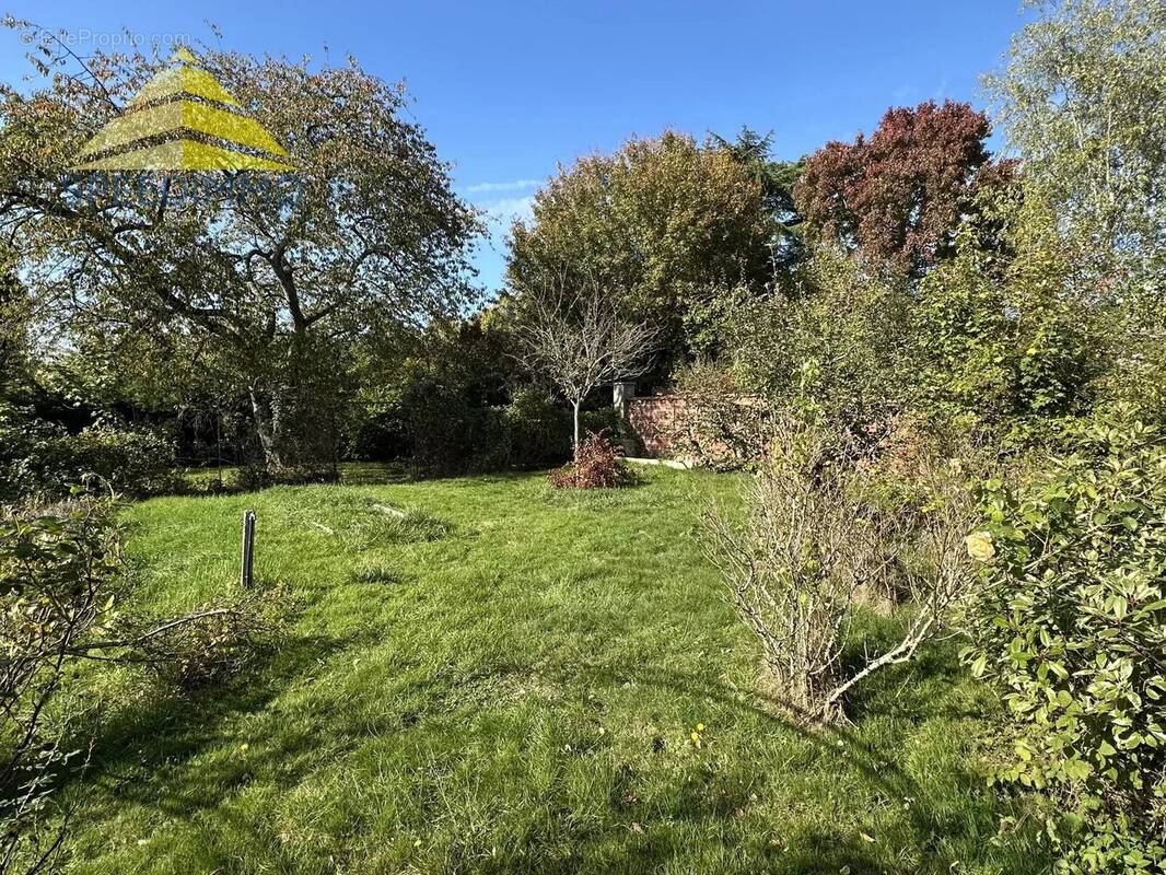 Terrain à BOUSSY-SAINT-ANTOINE