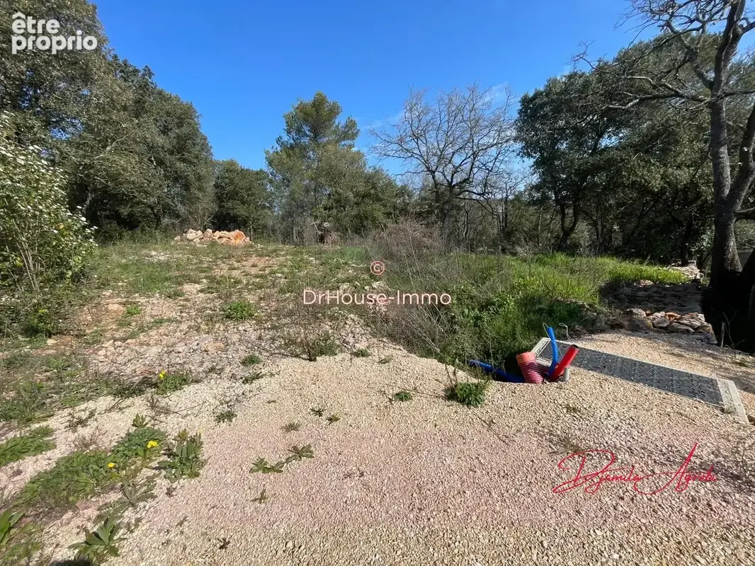 Terrain 7 807 m² à vendre à Saint-Maximin-La-Sainte-Baume (83470) - photo 25