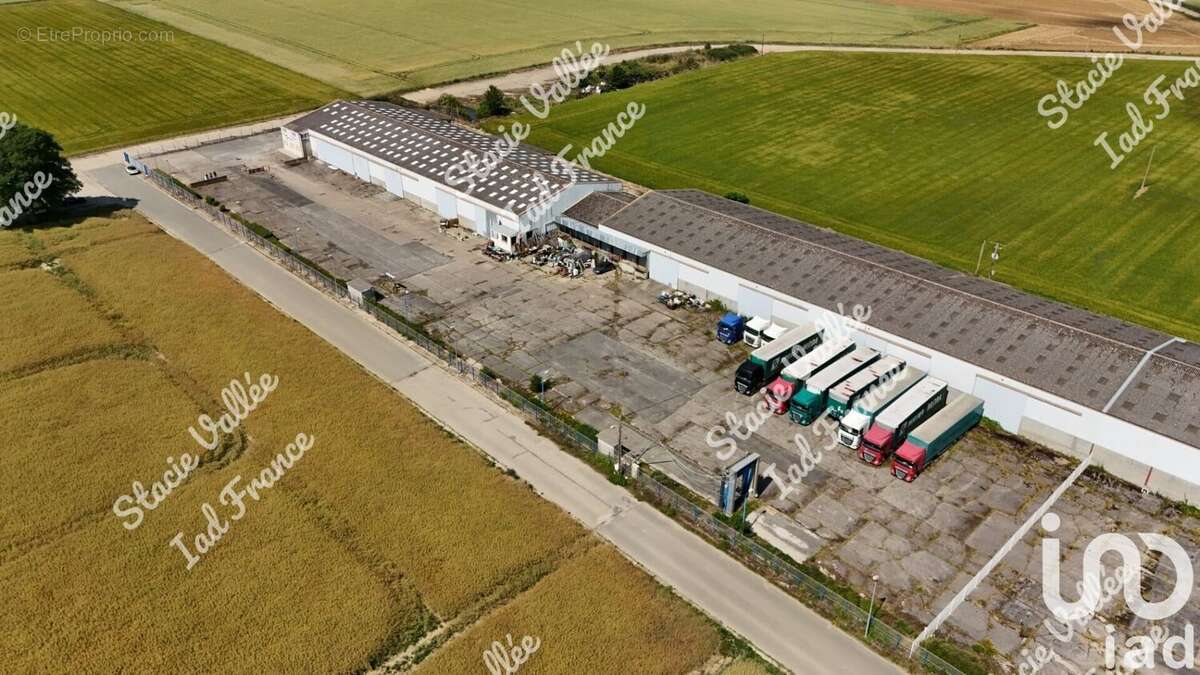 Photo 2 - Appartement à NAGEL-SEEZ-MESNIL