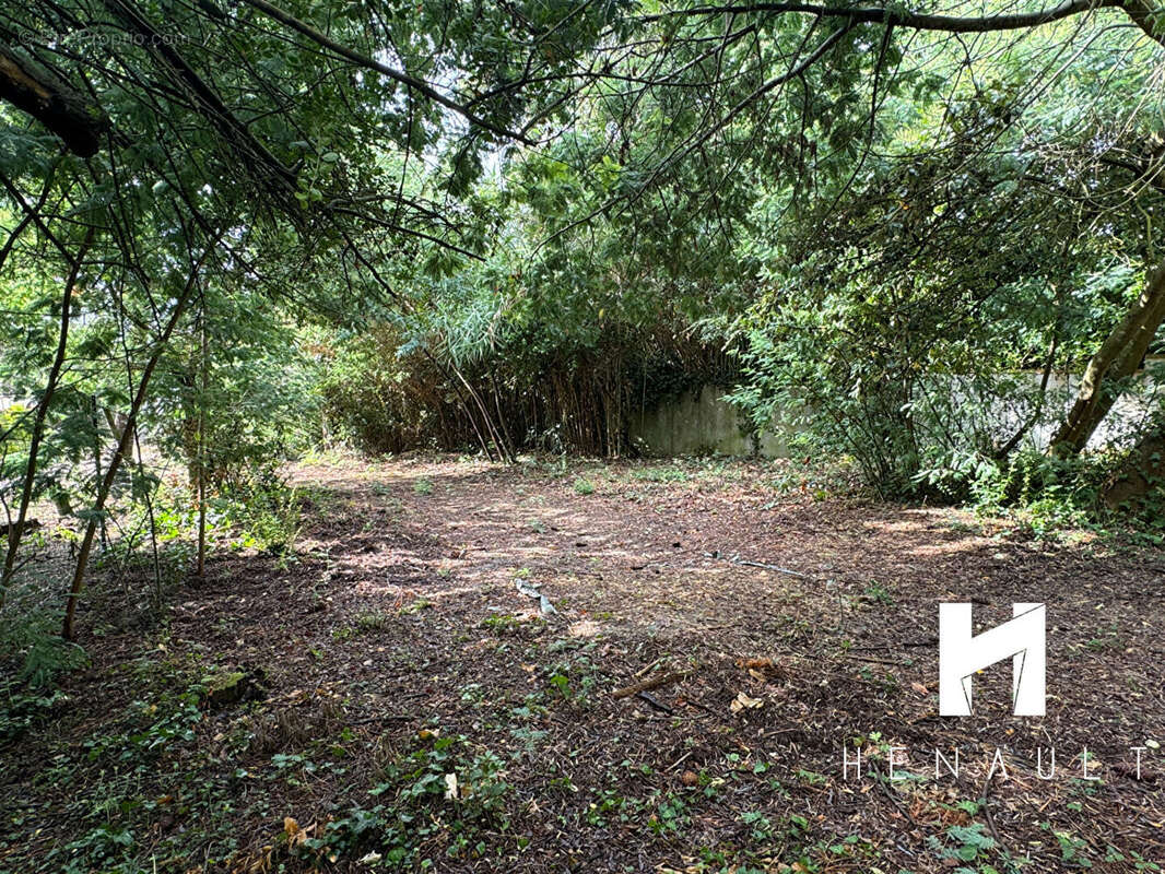 Terrain à RIVEDOUX-PLAGE