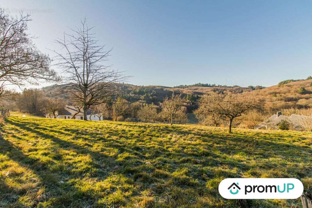 Terrain à SAINTE-FORTUNADE