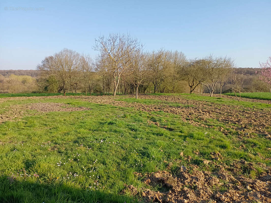 Maison à SEMUR-EN-VALLON