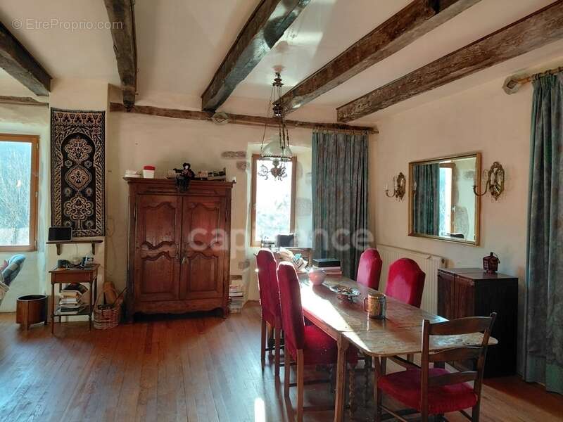 Maison à VIEILLEVIE