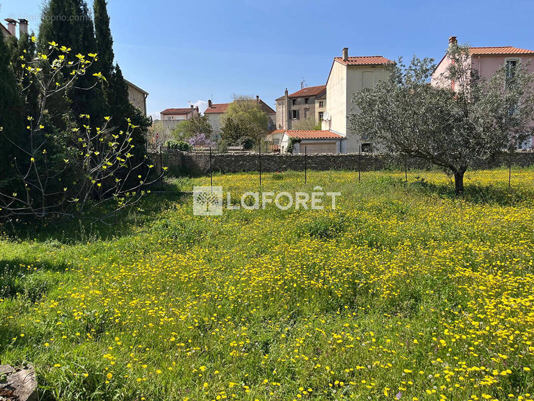 Terrain à MAUREILLAS-LAS-ILLAS