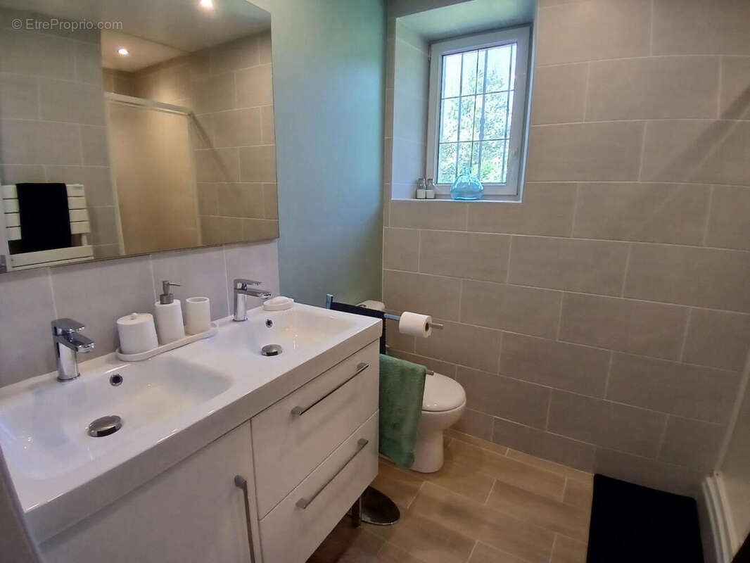 shower room - Maison à BUSSIERE-BADIL