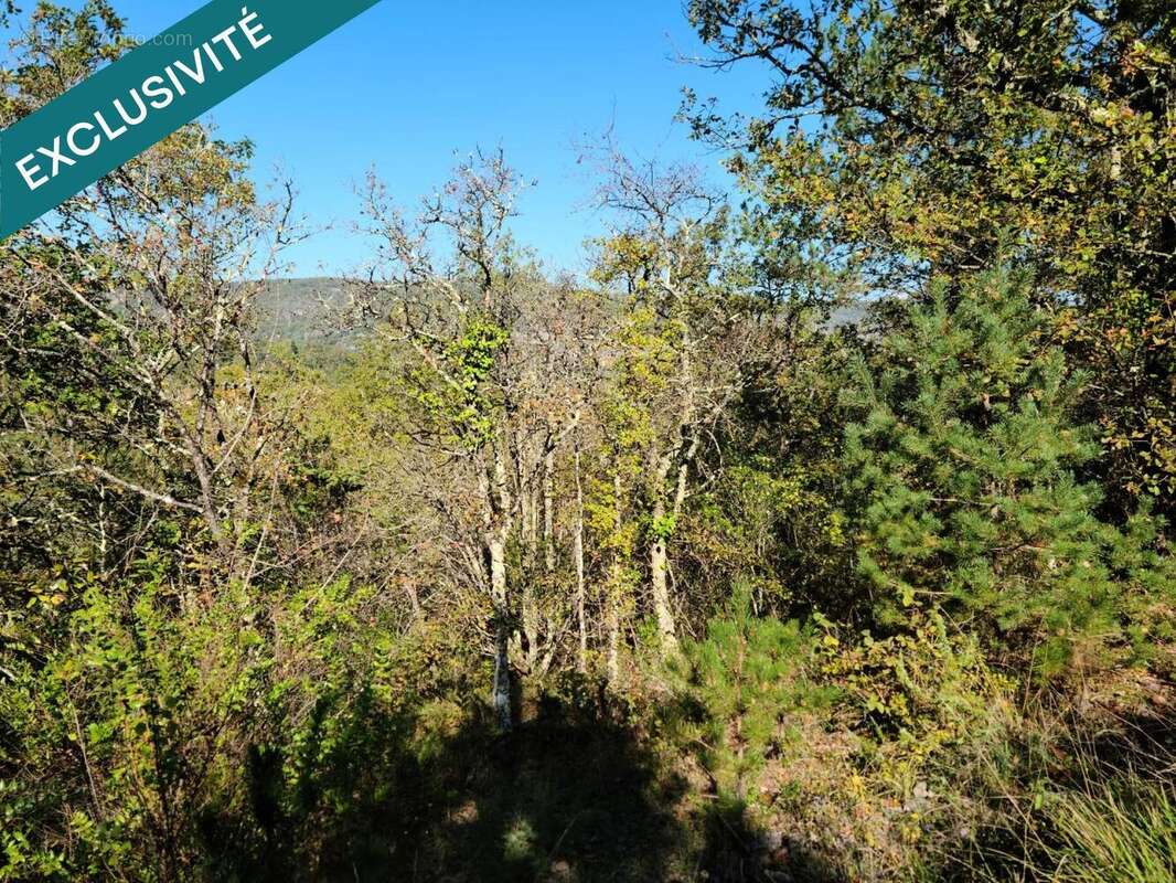 Photo 3 - Terrain à LUZECH