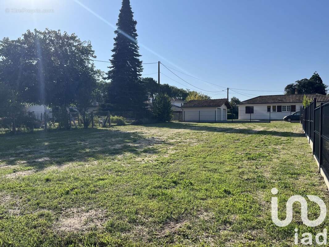 Photo 3 - Terrain à CADAUJAC