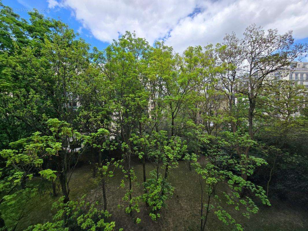 Appartement - photo 3