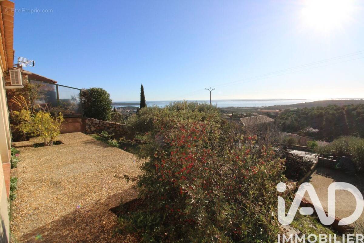 Photo 1 - Maison à FITOU