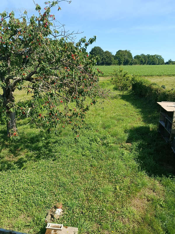 Maison à SAINT-GEORGES-DES-GROSEILLERS