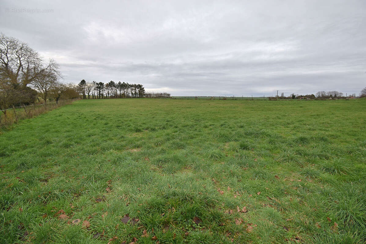 Maison à NOGENT-SUR-AUBE