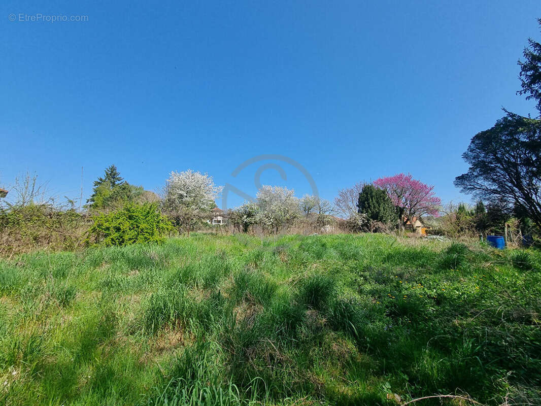 Villa premium, 97m² avec garage, 942m² terrain - photo 5