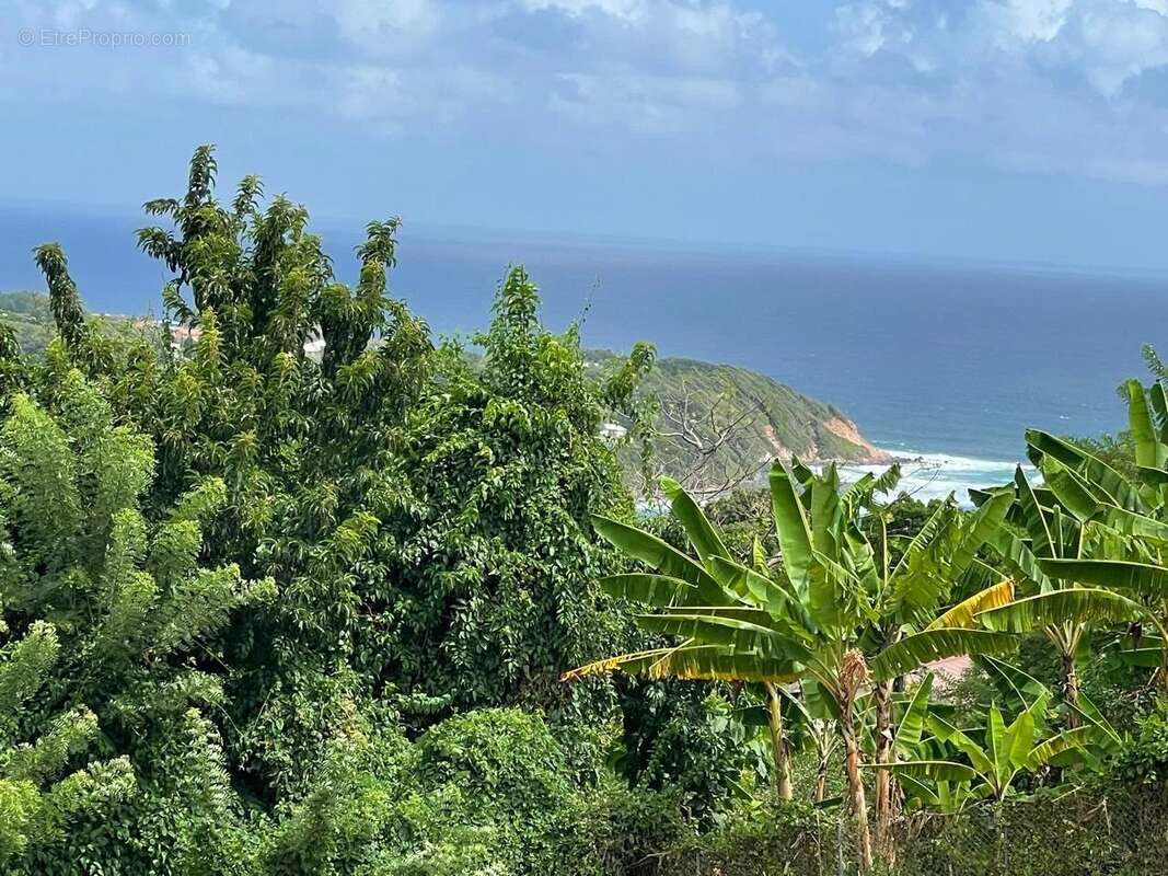 Terrain à LE MARIGOT