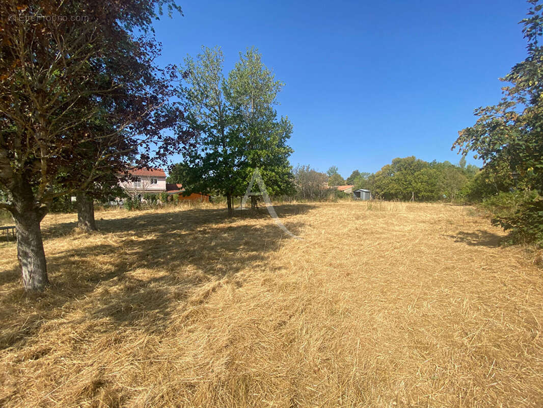 Maison Soreze 5 pièce(s) 122.5 m2 - photo 3