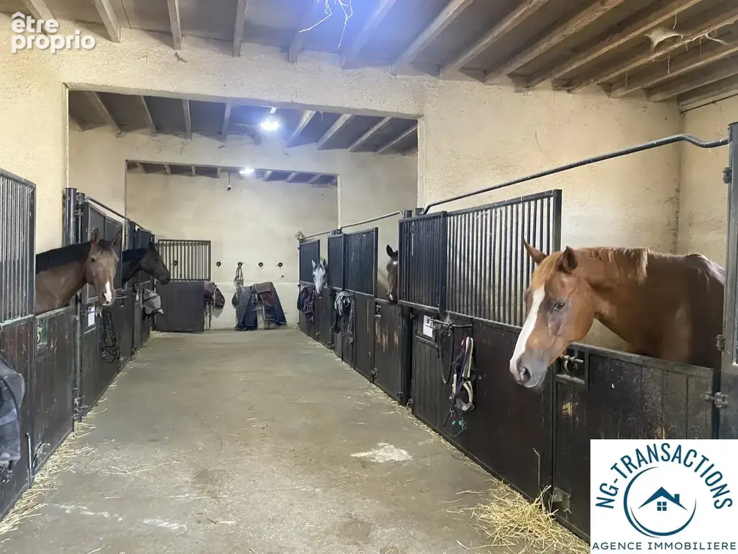 Propriete equestre  situee a 1h de paris - photo 15
