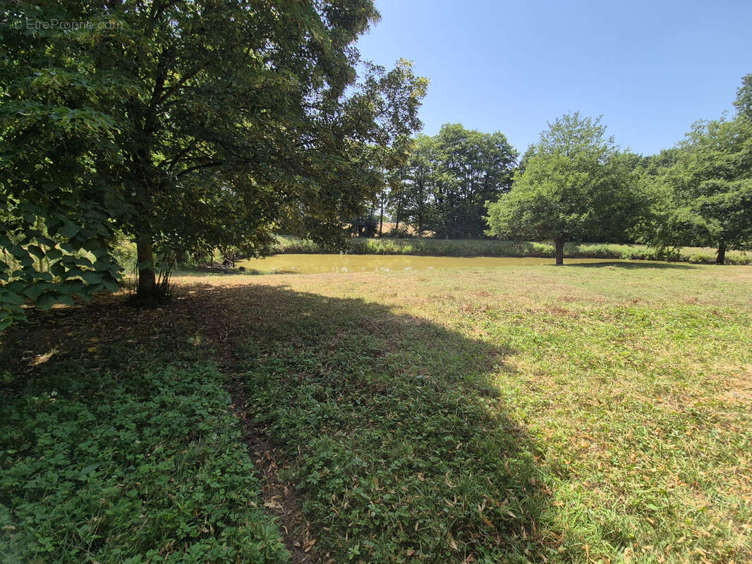 A vendre - exceptionnel ! secteur de parce sur sarthe - photo 2