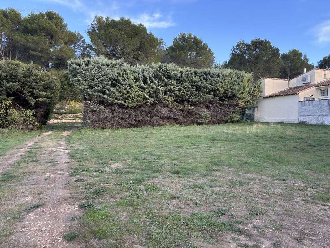 Terrain à FONTVIEILLE