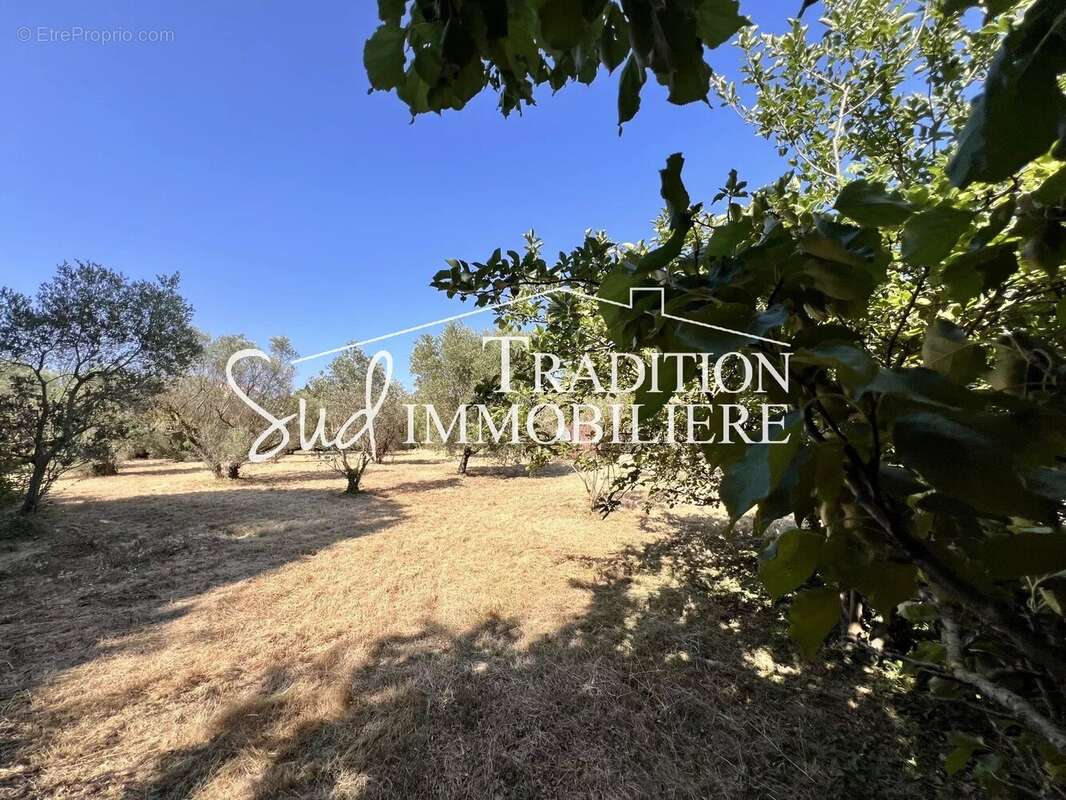 Terrain à PARADOU