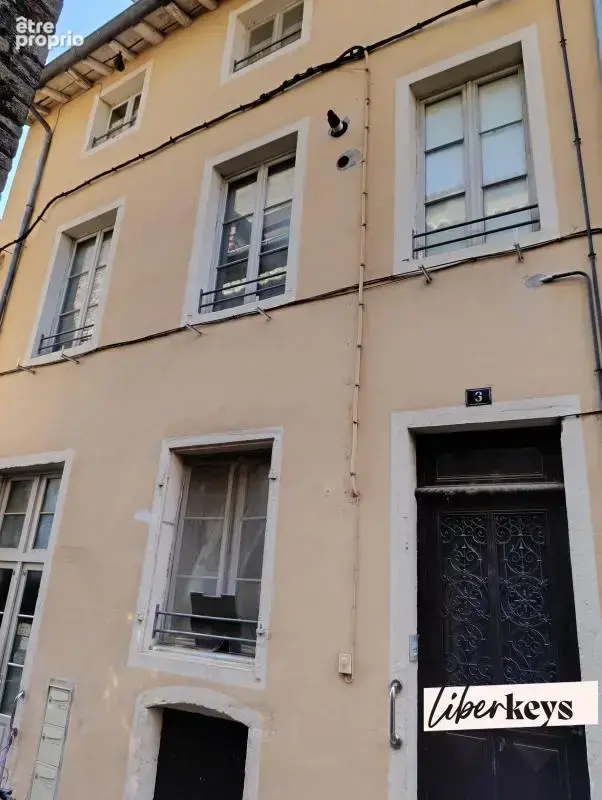 Immeuble de rapport mono propriété de 162 m² habitable - 3 logements - 71700 tournus - photo 1