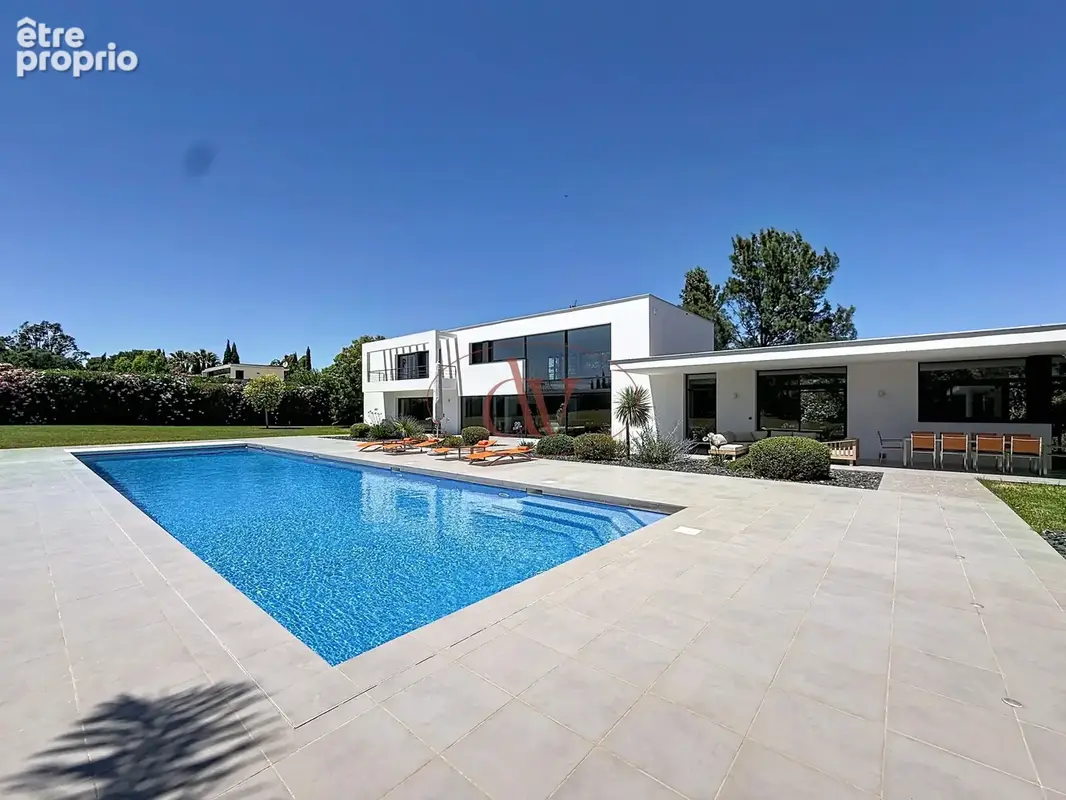 Mas llaro - exclusivite - photo 2