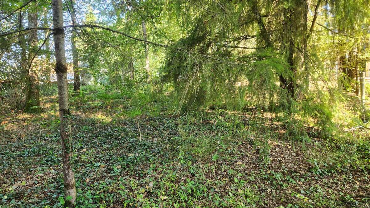 Terrain 1245m² - environnement campagne - calme - photo 4