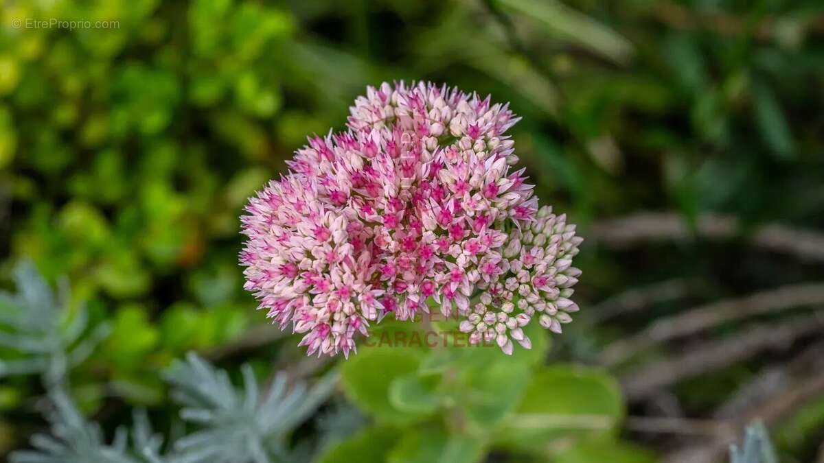 Maison à BOURRON-MARLOTTE