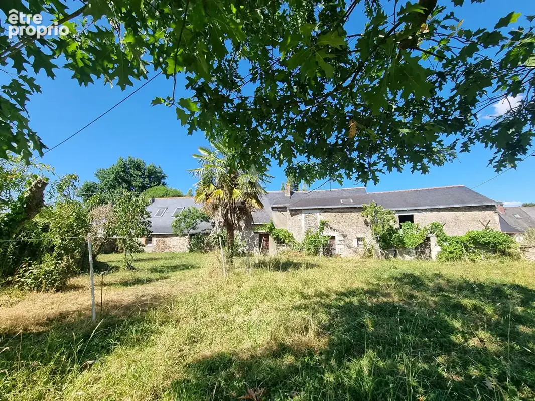 Maison 1 pièce 100 m² à vendre à Saint-Georges-Sur-Loire (49170) - photo 2