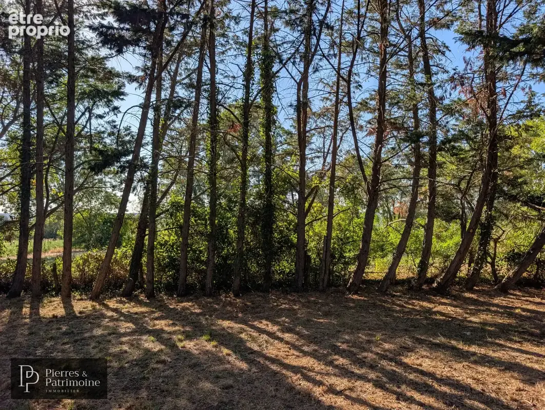 Maison en pierre sur 5 600 m2 de terrain entre Mézin et Nérac - photo 23