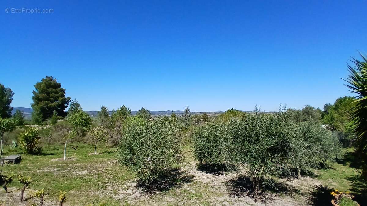 Maison à MURVIEL-LES-BEZIERS