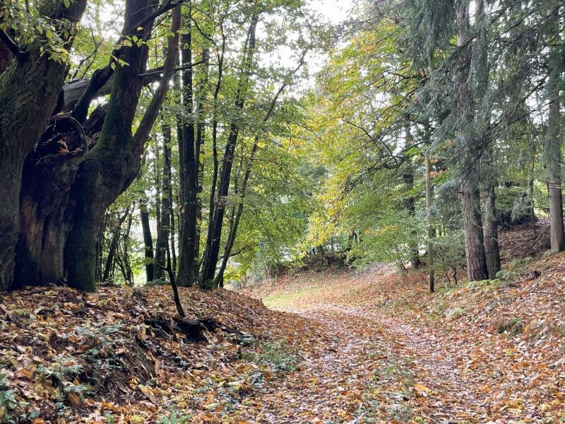 Maison à MONTMIRAIL