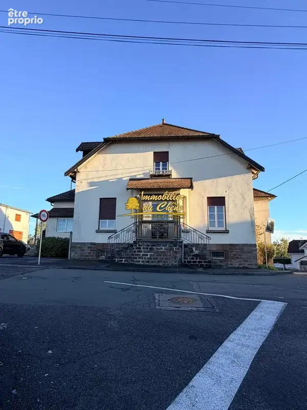 Maison 8 pièces 230 m² à vendre à Luxeuil-Les-Bains (70300) - photo 1