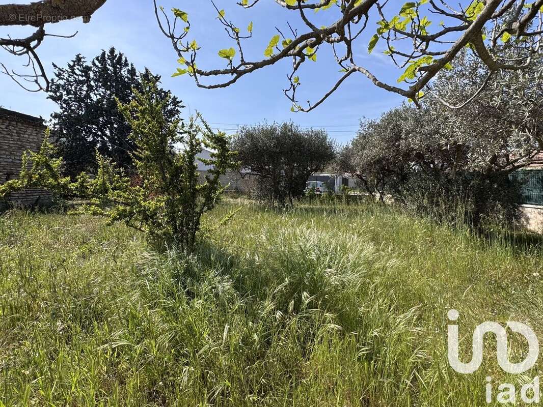 Photo 8 - Terrain à CAVAILLON