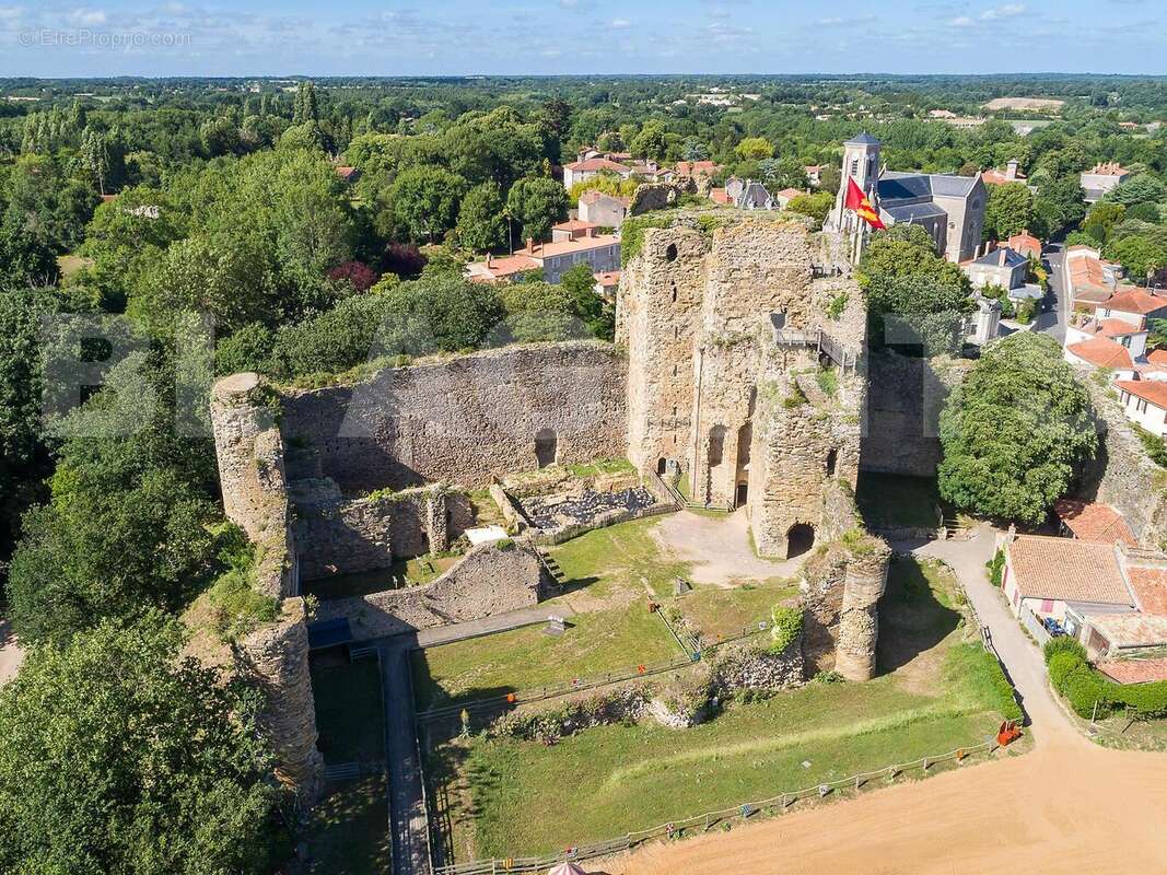 Talmont-St-Hilaire-0023_uxga - Terrain à AVRILLE