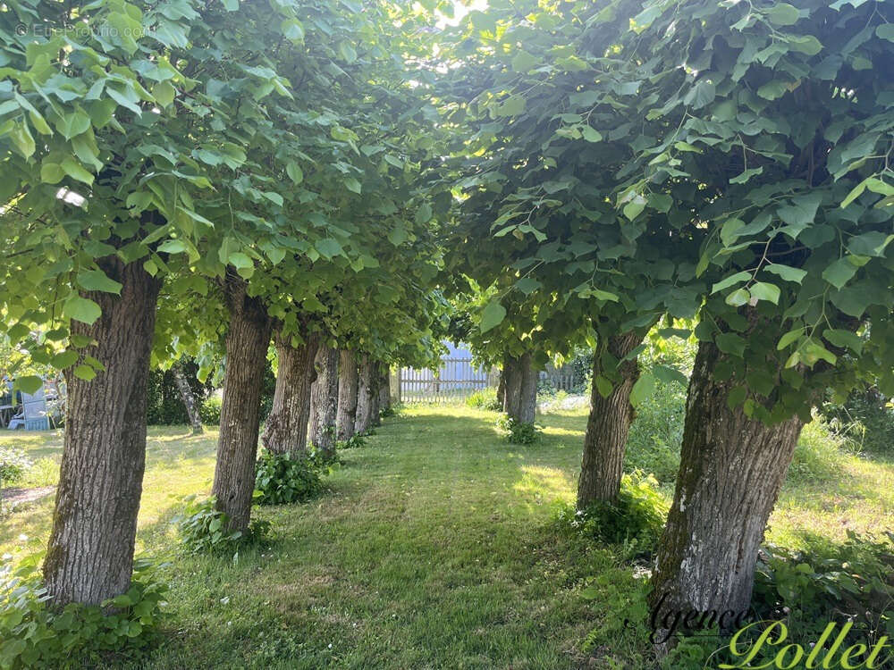 Maison à POILLY-LEZ-GIEN