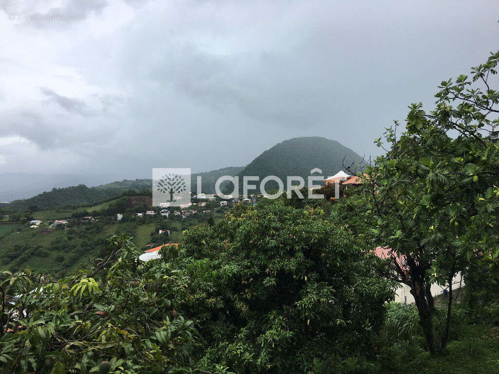 Appartement T3 - Morne vert- Vue mer et vue montagne - photo 14