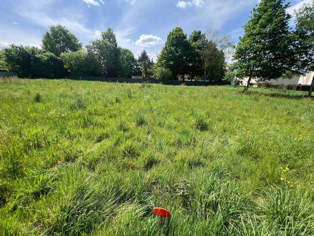 Photo 2 - Terrain à MONCE-EN-BELIN