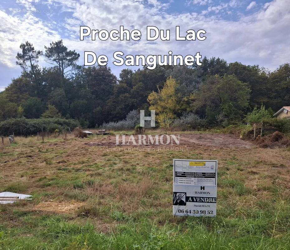 Terrain à SANGUINET
