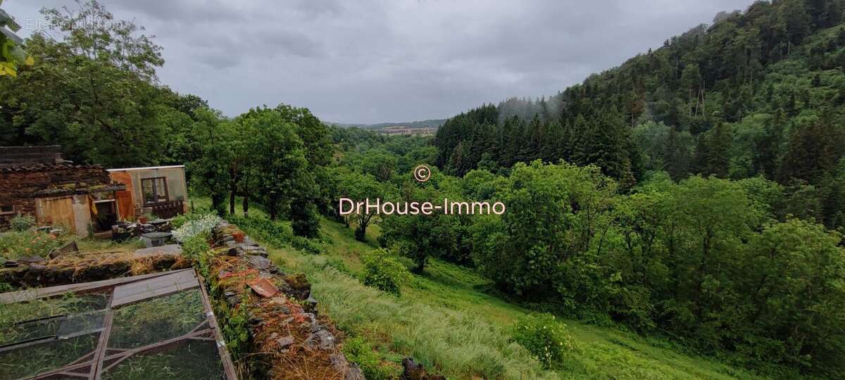 Maison 142 m² à Siaugues-Sainte-Marie  - photo 6
