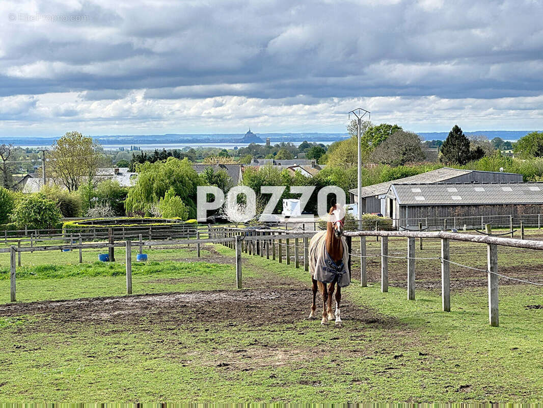 Maison + haras sur 11 ha avec piste, barn, 22 boxes, rond de longe, paddocks et herbage, vue Mt St Michel - photo 13