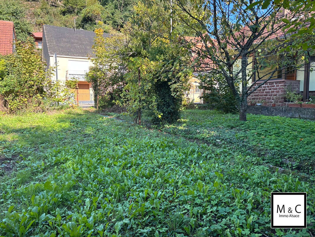 Maison à WISSEMBOURG